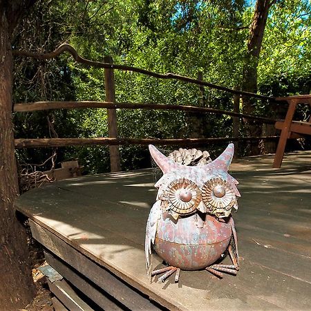 Black Cockatoo Lodge แนนนัป ภายนอก รูปภาพ
