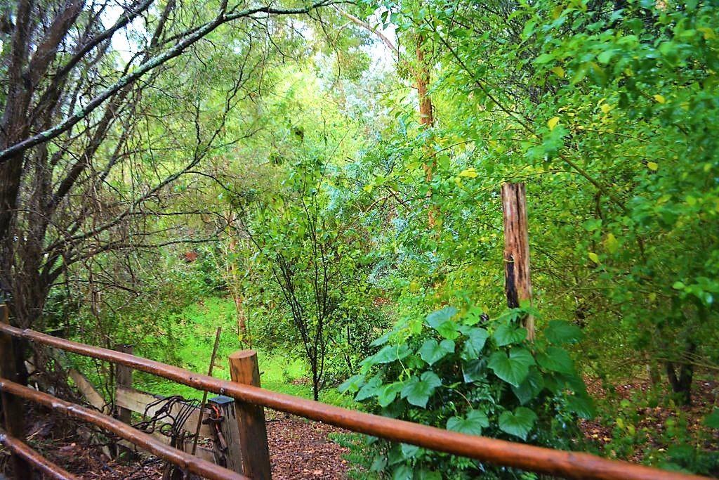 Black Cockatoo Lodge แนนนัป ภายนอก รูปภาพ