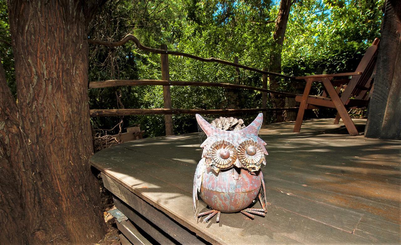 Black Cockatoo Lodge แนนนัป ภายนอก รูปภาพ