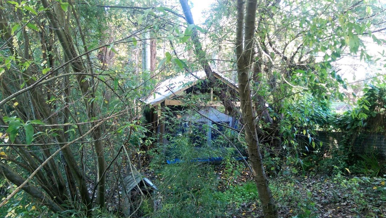 Black Cockatoo Lodge แนนนัป ภายนอก รูปภาพ